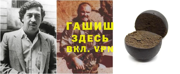 гидра Няндома
