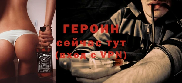 гидра Няндома