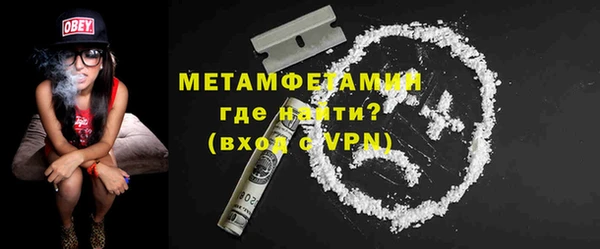 гидра Няндома