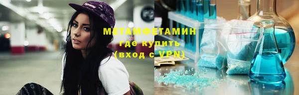 гидра Няндома