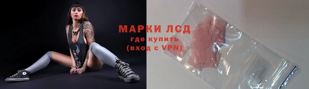 гидра Няндома