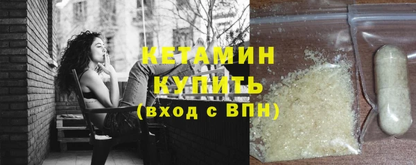 гидра Няндома